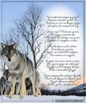 открытка для дяди с днем рождения - серый волк