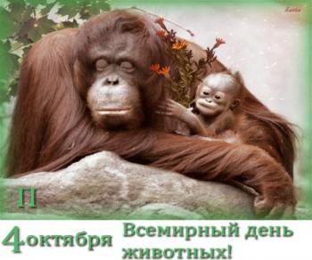 
Картинки Живая открытка с праздником Всемирного дня животных 2019 19