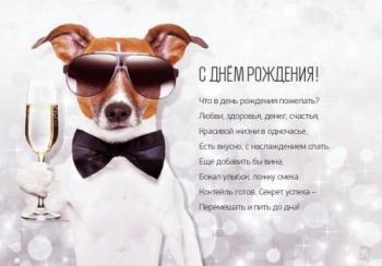 Прикольная открытка с собакой для друга на день рождения