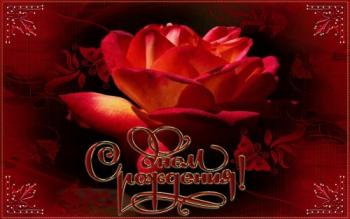открытка женщине в день рождения - красная роза