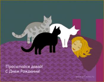 Мерцающая открытка с котиками женщине с днем рождения - просыпайся!