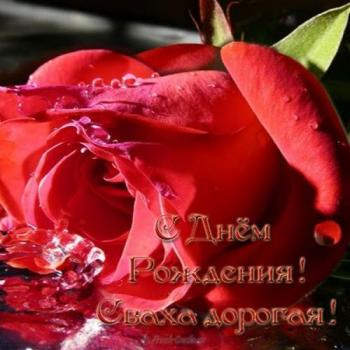 Открытка в честь дня рождения свахи - красная роза