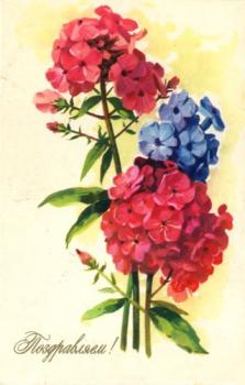 Чудесная советская открытка с цветами в честь дня рождения