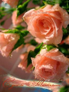 
Картинки Открытка с розами для Татьяны в Татьянин день Татьянин Де...