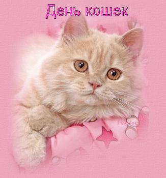 
Картинки С днем кошек 1 марта Поздравления открытки Анимационные 18