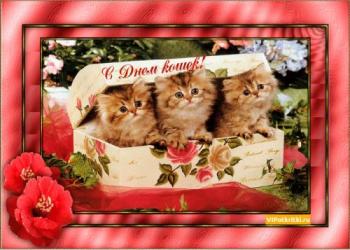 
Картинки Открытки открытки ко дню кошек открытки ко дню кошек 55