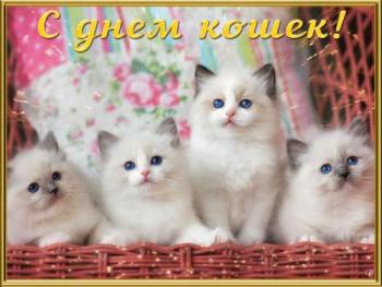 
Картинки Гифка с днем кошек День кошек открытка анимация 2