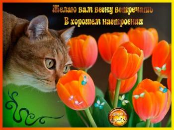 
Картинки День кошек 1 Марта – День кошек Открытки Красивые открытк...