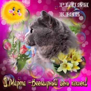 
Картинки Живые открытки с Всемирным днём кошек 1 марта 2019 3