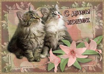 
Картинки Открытки день кошек и котов День кошек открытка анимация 9
