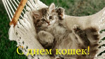 
Картинки Открытка Про день кошек Скачать бесплатно на otkritkiok r...